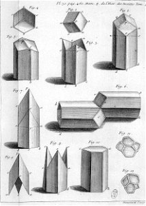 Réaumur-Haussard-Illustrations de Mémoires pour servir à l'histoire des insectes E-31-460
