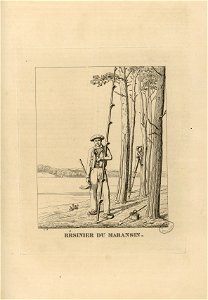 Résinier du Maransin (i.e. Marensin) - Fonds Ancely - B315556101 A PELERIN 094