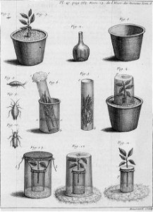 Réaumur-Haussard-Illustrations de Mémoires pour servir à l'histoire des insectes F-47-568