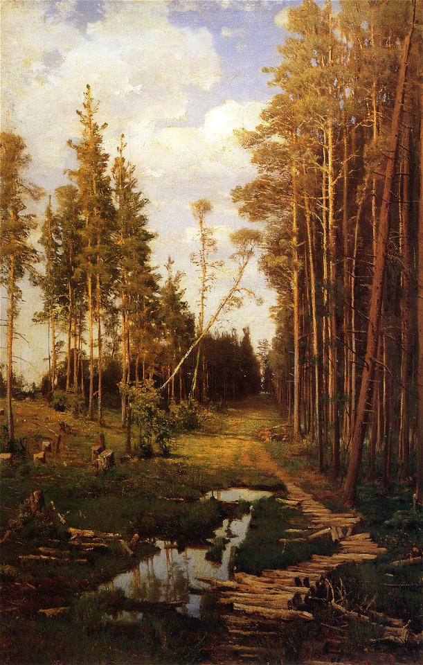 Savrasov firebreak pinewood