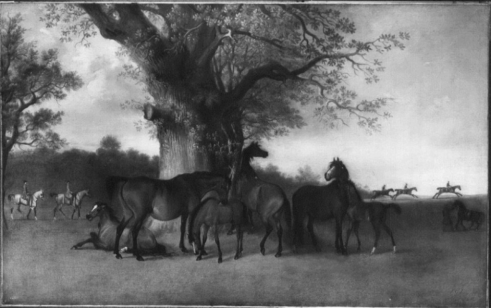 Sawrey Gilpin (1733-1807) - Cypron, King Herod's Dam, with her Brood - RCIN 407439 - Royal Collection