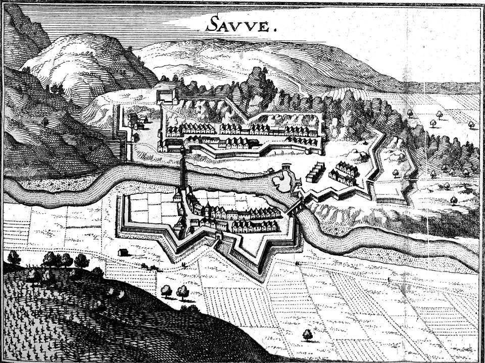Sauve 1657 Zeiller 15239