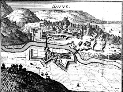 Sauve 1657 Zeiller 15239