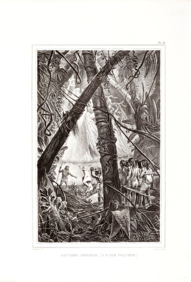 Sauvages Goyanas (Ào mar Pequeno.), da Coleção Brasiliana Iconográfica