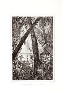 Sauvages Goyanas (Ào mar Pequeno.), da Coleção Brasiliana Iconográfica