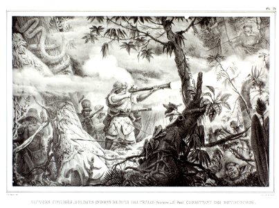 Sauvages civilisés, soldats indiens de Mugi das Cruzas (Province de S-t Paul) combattant des Botocoudos, da Coleção Brasiliana Iconográfica