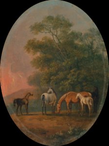 Sawrey Gilpin - Mares and Foals - Google Art Project. Free illustration for personal and commercial use.