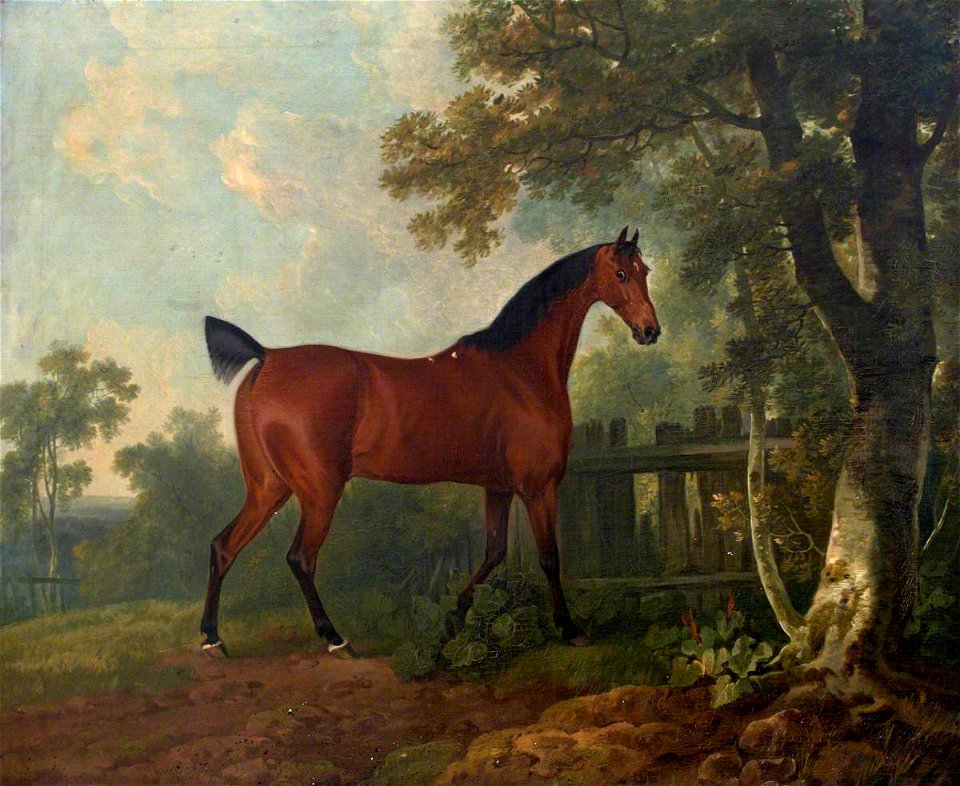 Sawrey Gilpin (1733-1807) (possibly) - 'Amaranth', the Property of A. B. St Leger, Esq. - 353147 - National Trust