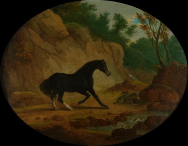 Sawrey Gilpin - A Horse Frightened by a Snake - Google Art Project