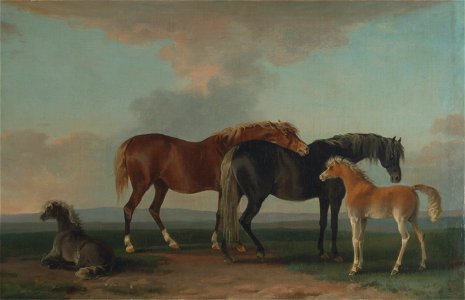 Sawrey Gilpin - Mares and Foals, facing right - Google Art Project. Free illustration for personal and commercial use.