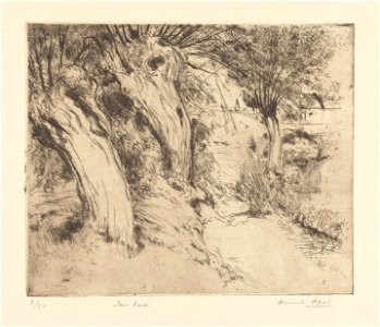Saulaie, print by Armand Apol (1879-1950), Belgium, (1914), Prints Department of the Royal Library of Belgium, S.IV 109458