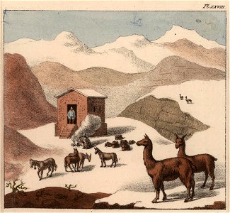 Schmidtmeyer- Scharf, George Johann - A hut in the mountains with snow and guanacos -JCB Library f1.0. Free illustration for personal and commercial use.