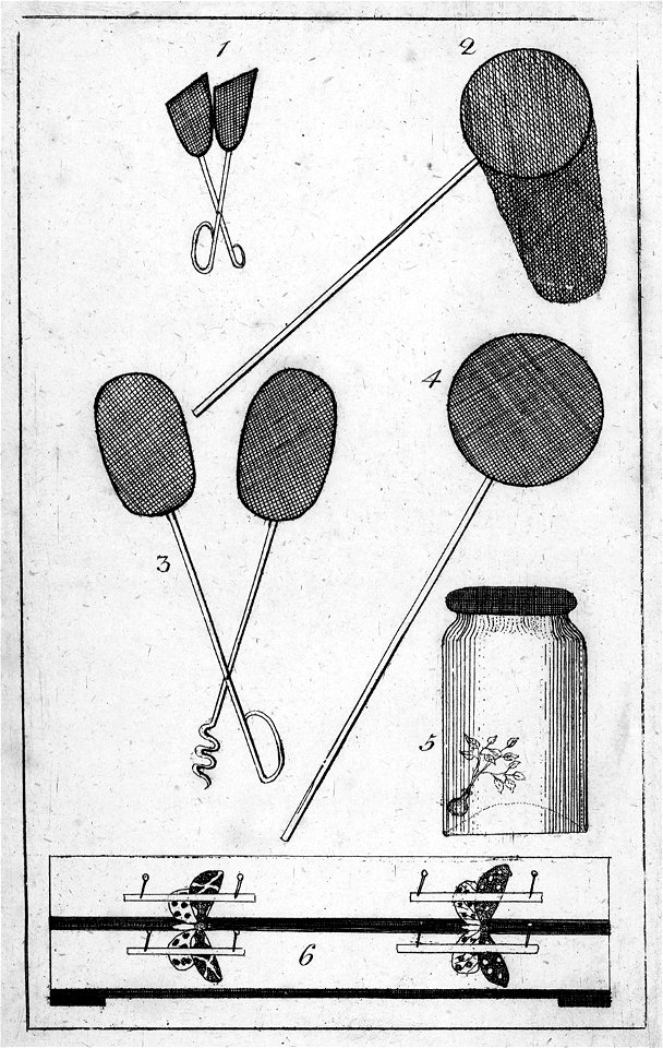 Schmetterlings-Cabinet für Kinder Tafel Hilfsmittel