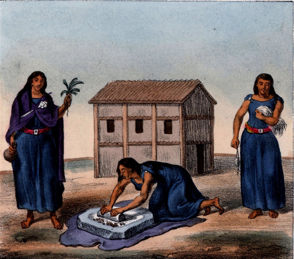Schmidtmeyer- Scharf, George Johann - 3 Mapuche women -JCB Library 2.1