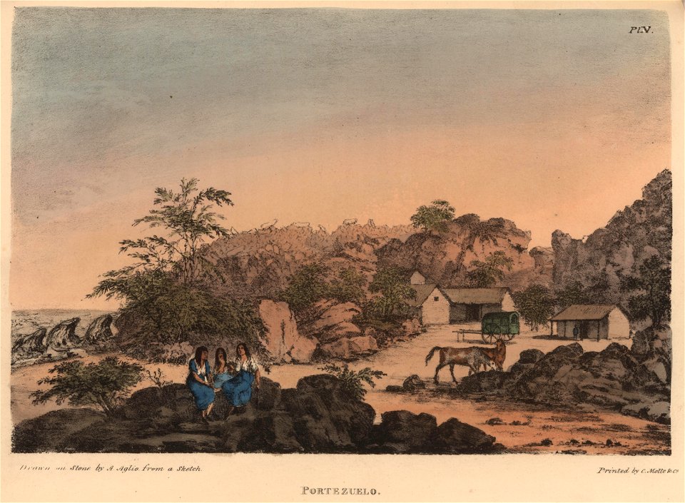 Schmidtmeyer- Aglio, Agostino - Portezuelo -JCB Library f1.1