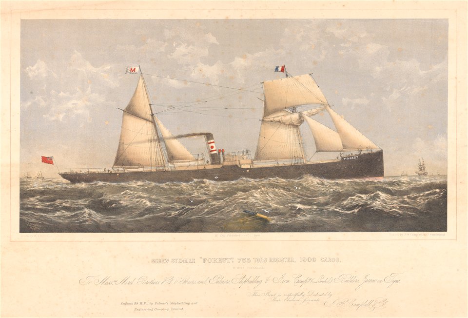 Screw steamer Forest - H. Holt Commander - Morel Brothers and Co owners - Palmers shipbuilding and Iron Compy Builders RMG PY5288