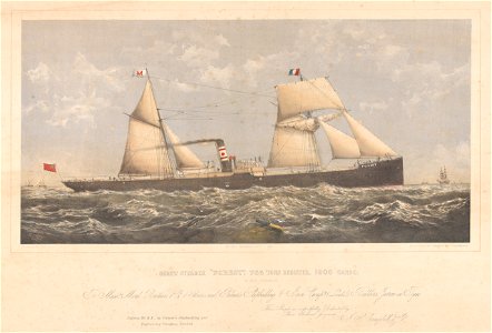 Screw steamer Forest - H. Holt Commander - Morel Brothers and Co owners - Palmers shipbuilding and Iron Compy Builders RMG PY5288