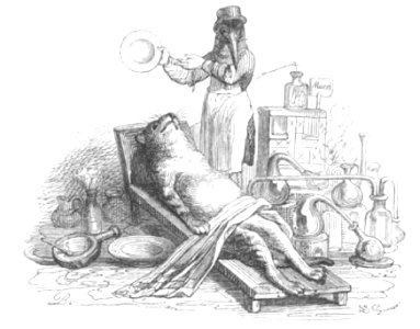Scènes de la vie privée et publique des animaux, tome 1 0198