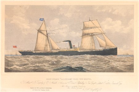 Screw steamer Laleham - J Temperley and Co owners - Palmer's Shipbuilding and Iron Compy Ltd Builders - RMG PY5291