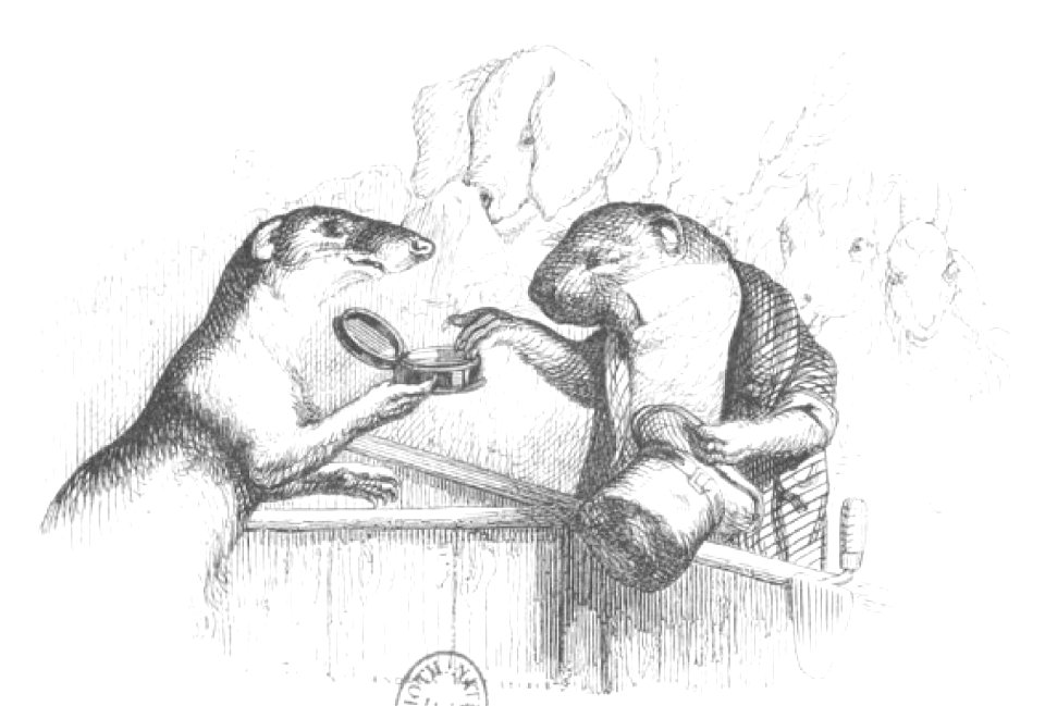 Scènes de la vie privée et publique des animaux, tome 1 0055