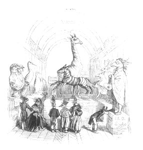 Scènes de la vie privée et publique des animaux, tome 1 0342