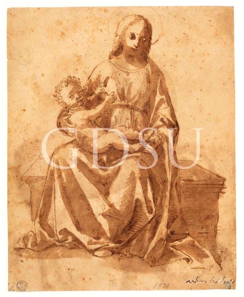 Scuola (attribuzione tradizionale) Leonardo da Vinci - inv 8951 S