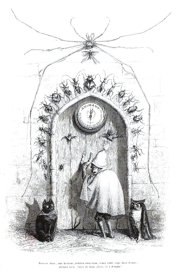 Scènes de la vie privée et publique des animaux, tome 1 0607