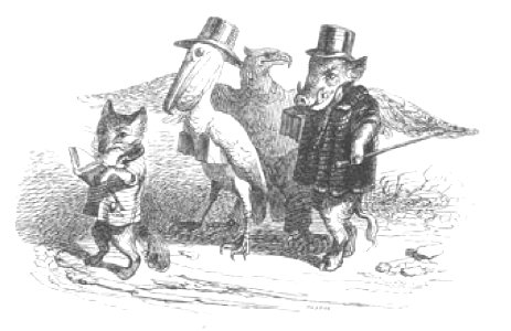 Scènes de la vie privée et publique des animaux, tome 1 0065