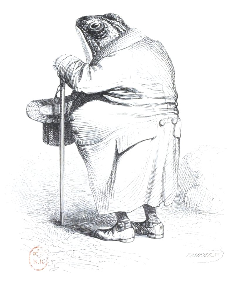 Scènes de la vie privée et publique des animaux, tome 2 0108