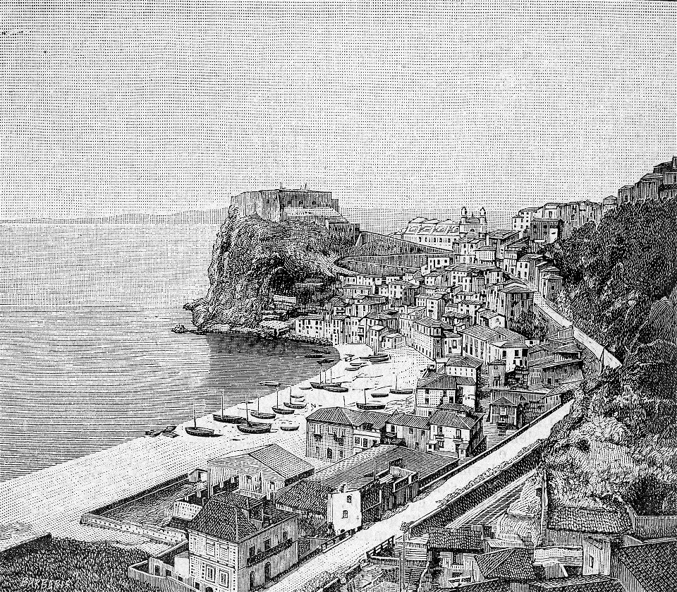 Scilla (xilografia)