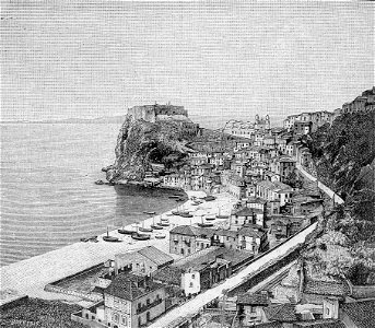 Scilla (xilografia)