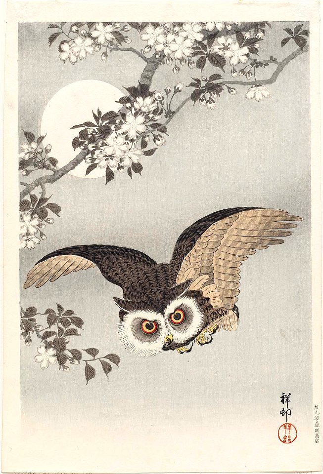Scops Owl, Cherry Blossoms, and Moon by Shōson