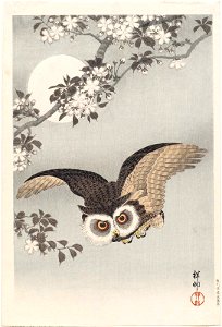 Scops Owl, Cherry Blossoms, and Moon by Shōson. Free illustration for personal and commercial use.