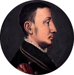 René de Châlon (ca 1518-44), by Jan van Scorel. Free illustration for personal and commercial use.