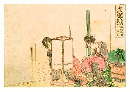 Shono (5758989001)