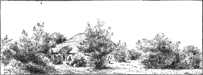Shrubs - Page 96 - Chapter VIII - History of India Vol 1 (1906)