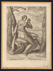 Sibylla Phrygia 1575 print by Anthonie Blocklandt van Montfoort, S.I 40782, Prints Department, Royal Library of Belgium
