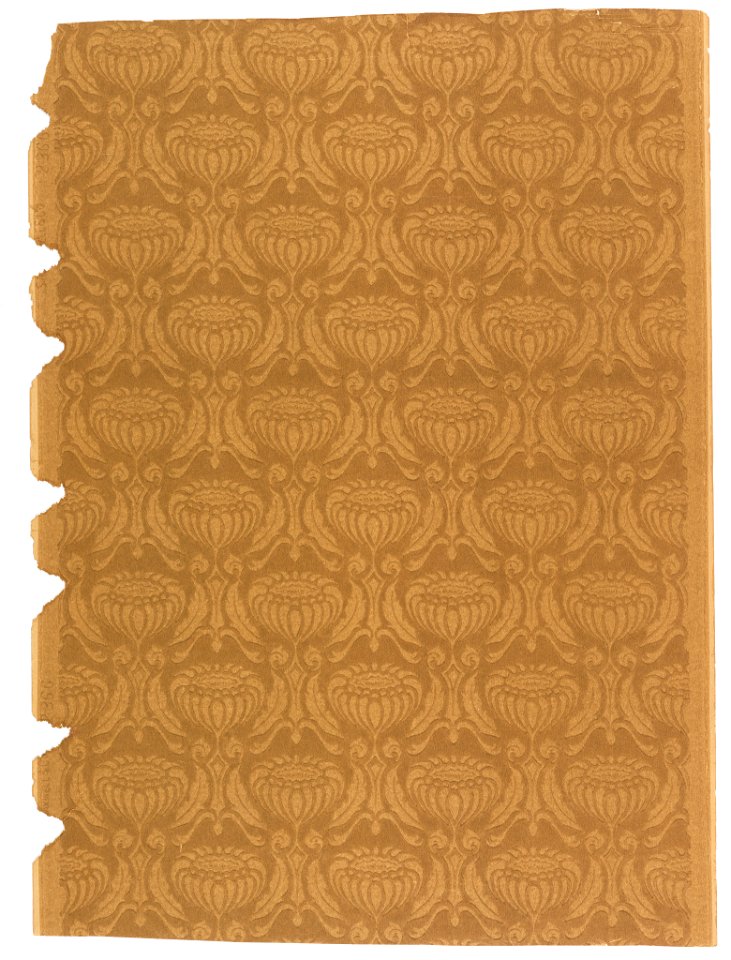 Sidewall (USA), 1885–90 (CH 18383303)
