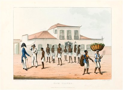 Sick Slaves (3), da Coleção Brasiliana Iconográfica