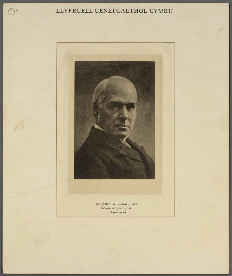 Sir John Williams, Bart. G.C.V.O., M.D., LL.D., D.SC. 1840-1926 (5294043)