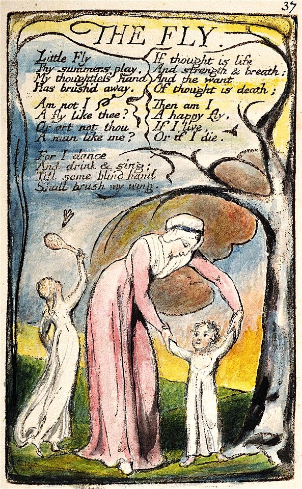 Songs of Innocence and of Experience copy L object 37 THE FLY
