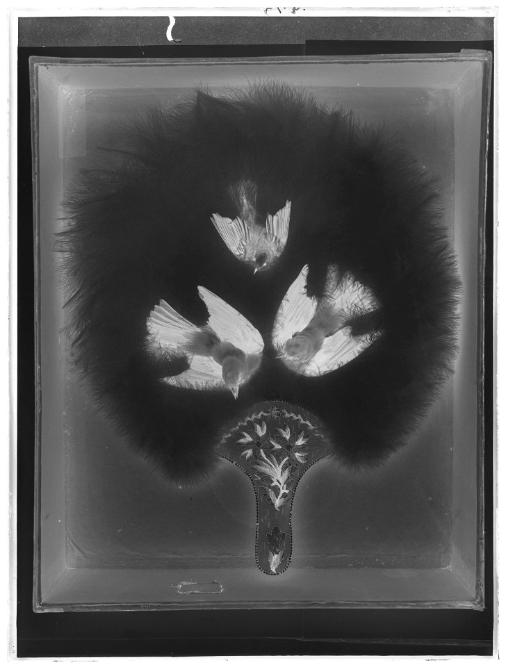 Solfjäder - Livrustkammaren - 42943-negative