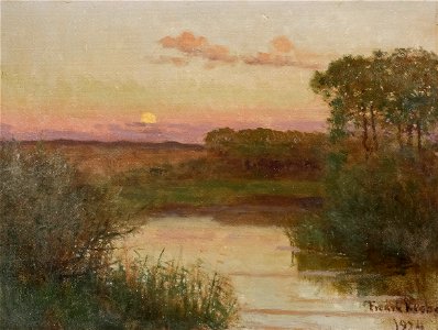 Sommartjärn x Fredrik Krebs