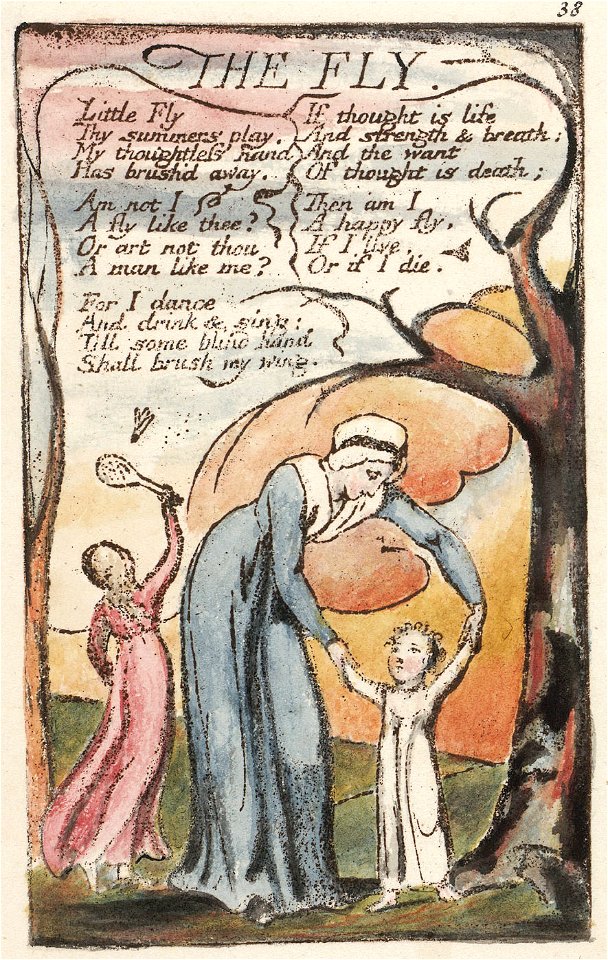 Songs of Innocence and of Experience copy N object 9 THE FLY