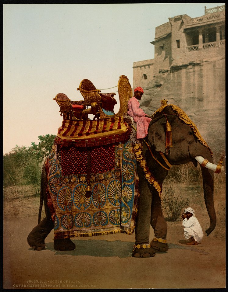 South of India. Government Elephant in State Costume LCCN2017657627
