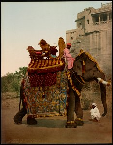 South of India. Government Elephant in State Costume LCCN2017657627
