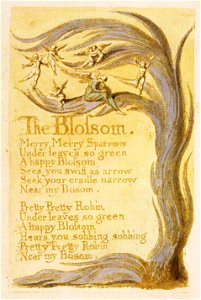 Songs of Innocence, copy G, 1789 (Yale Center for British Art) object 9 The Blossom
