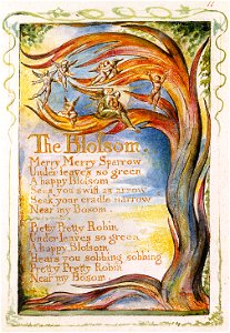 Songs of Innocence and of Experience, copy Y, 1825 (Metropolitan Museum of Art) object 11 The Blossom