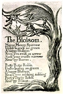 Songs of Innocence, copy U, 1789 (The Houghton Library) object 8 The Blossom