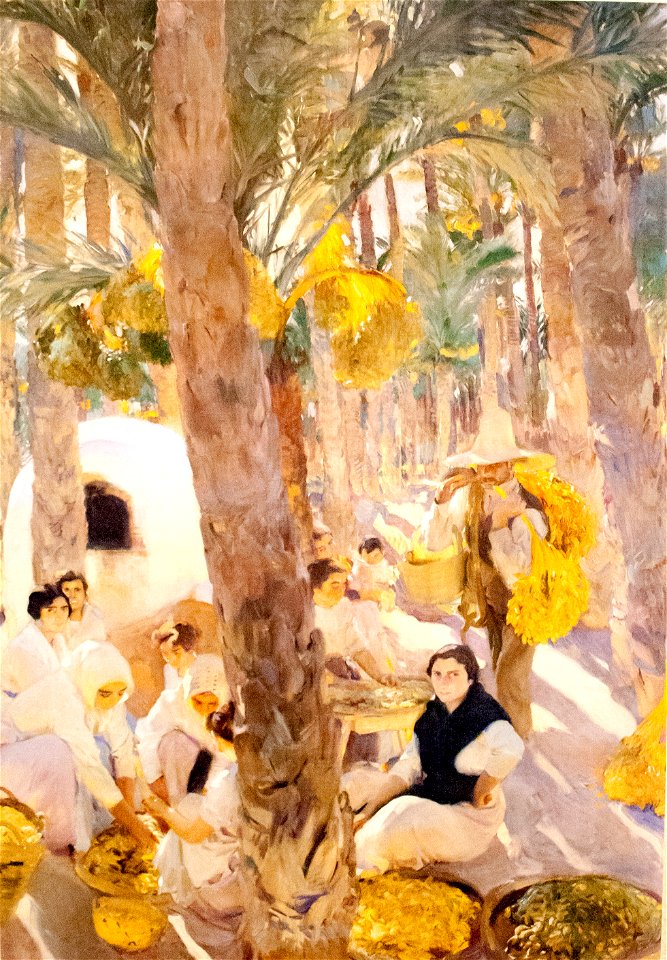 Sorolla-3